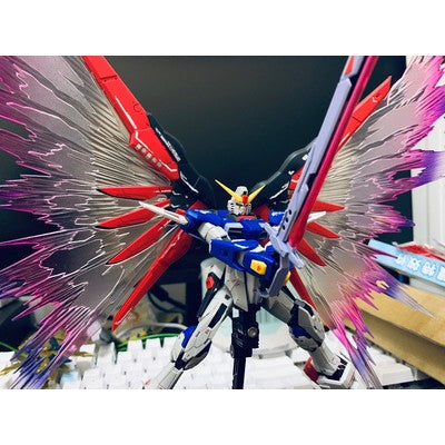 CEF Light Wing (MB Type) Special Effects with Stand for RG Destiny Gundam